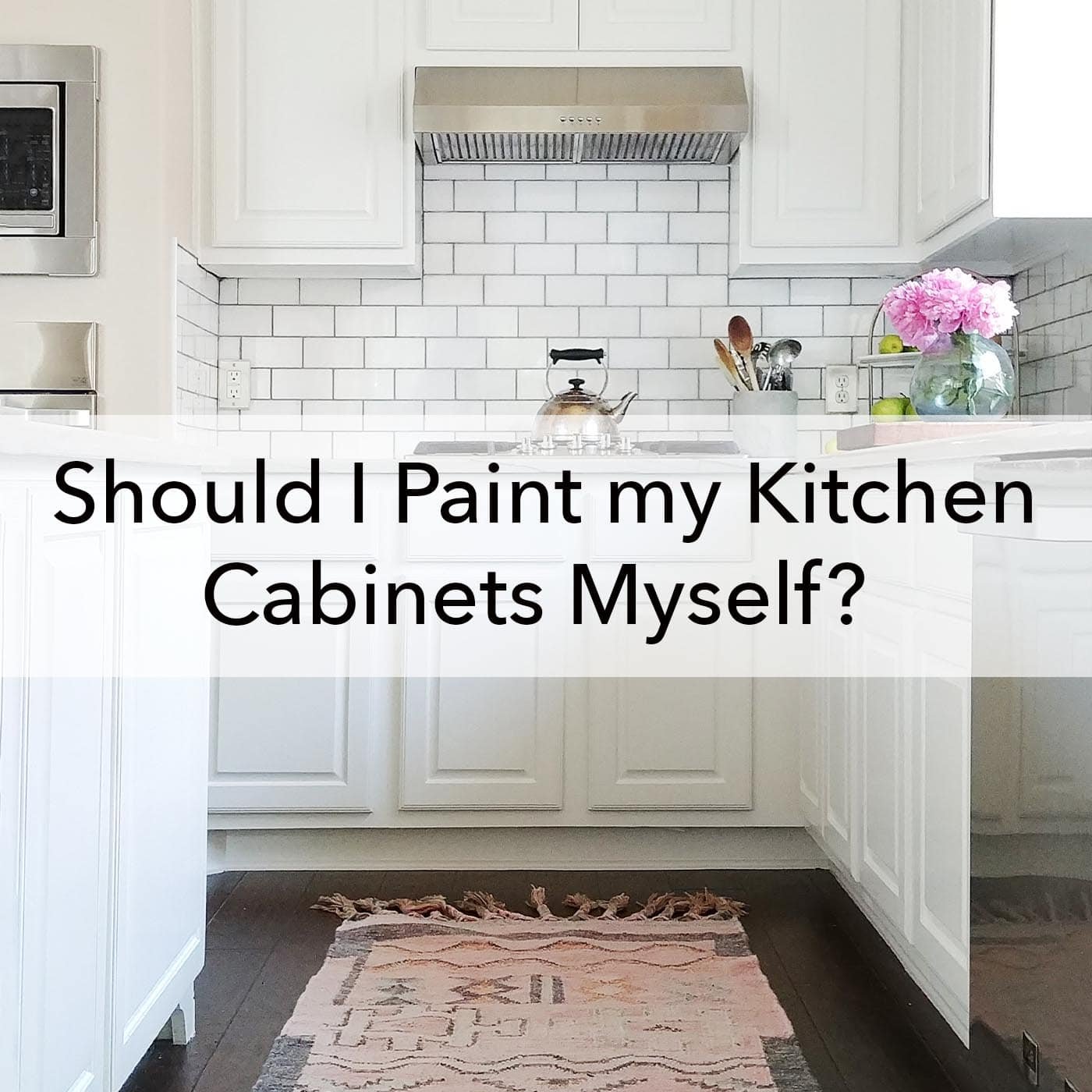 Kitchen Cabinets You Can Paint